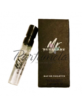 Burberry Mr. Burberry, EDP - Vzorek vůně