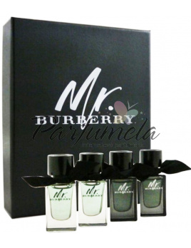 Burberry Mr. Burberry SET: 2x Mr. Burberry Parfumovaná voda 5ml + 2x Mr. Burberry Toaletní voda 5ml